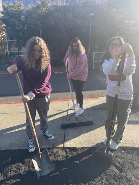 Permaculture students prepare the grounds with nutrients